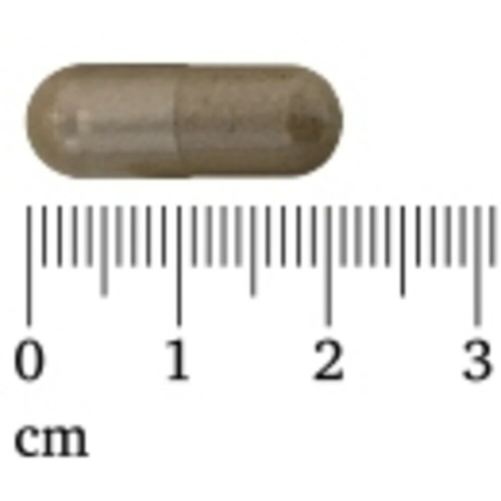 3x Lucovitaal Super Resveratrol 100 Mg 2 3x Lucovitaal Super Resveratrol 100 Mg - Afbeelding 2