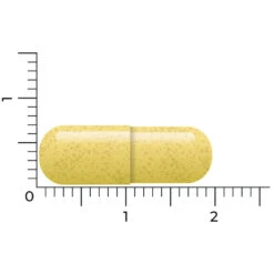 Vitakruid Quercetine 250 -Health Plus Verkoop 1021059 4