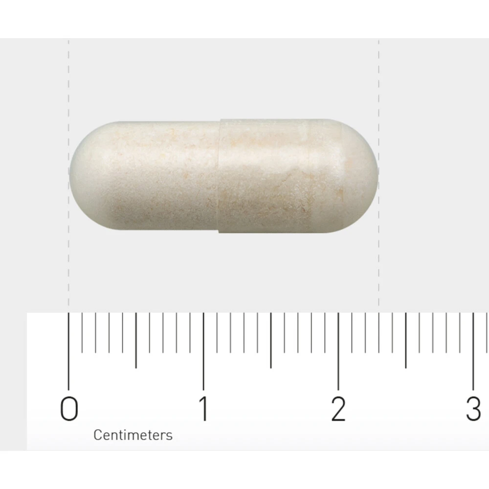 AOV 1203 Probiotica Complex 4 AOV 1203 Probiotica Complex - Afbeelding 4