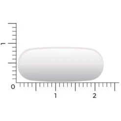 Vitakruid Msm 1000 Mg Vitamine C -Health Plus Verkoop 1023983 4