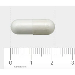 AOV 604 L-Carnosine (250 Mg) -Health Plus Verkoop 1029449 4