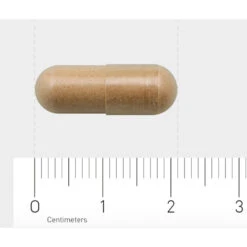 AOV 828 Salvia-extract -Health Plus Verkoop 1029464 4