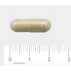 AOV 833 Vitex Agnus Castus -Health Plus Verkoop 1029468 4