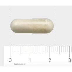 2x AOV 1132 Lactase -Health Plus Verkoop 1029493 4 1