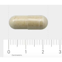 AOV 1133 Bromelaïne 7 AOV 1133 Bromelaïne -Health Plus Verkoop 1029494 4