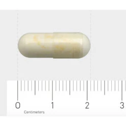 AOV 1138 Fosfatidylserine (50 Mg) -Health Plus Verkoop 1029495 4