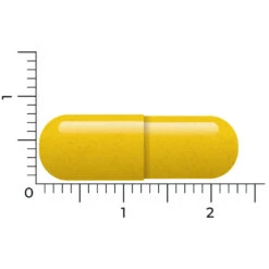 Vitakruid Berberine 500 Rebersa -Health Plus Verkoop 1029807 4