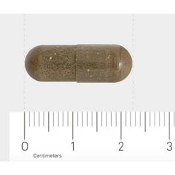 Orthica Slaap Support -Health Plus Verkoop 1029812 4