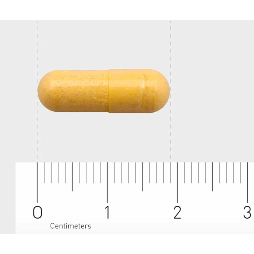 Orthica B2-50 4 Orthica B2-50 - Afbeelding 4