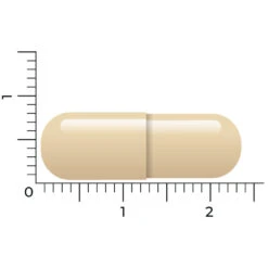 Vitakruid DIM Complex -Health Plus Verkoop 1040356 5