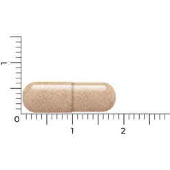 Vitakruid Lactoferrine 150 Mg -Health Plus Verkoop 1054157 4
