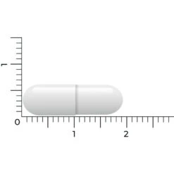 Vitakruid Lactase Optiferm 3000 Fcc -Health Plus Verkoop 1058191 5