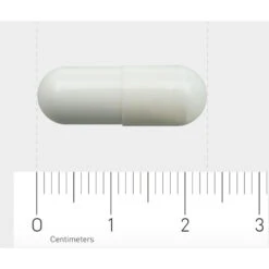 Orthica L-Glutamine-500 -Health Plus Verkoop 709573 4