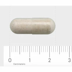 Garden Of Life Raw Vitamine B12 -Health Plus Verkoop 888451 4