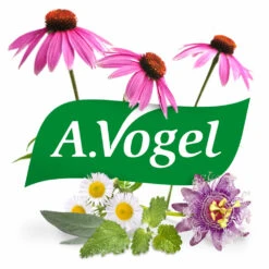 2x A.Vogel Molkosan Fruit -Health Plus Verkoop 945479 6