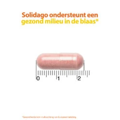 Roter Cystiberry 7 Roter Cystiberry -Health Plus Verkoop 962280 4