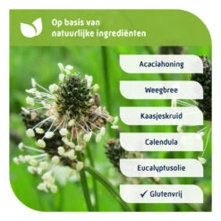 Natterman Voor Alle Hoest Hoestdrank -Health Plus Verkoop 974964 4