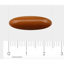 Orthica Menopauze Protect -Health Plus Verkoop 976281 4