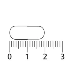 Lucovitaal L-theanine Omega 3 -Health Plus Verkoop 990221 3