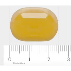 Orthica Dino Omega 3 -Health Plus Verkoop 996802 4